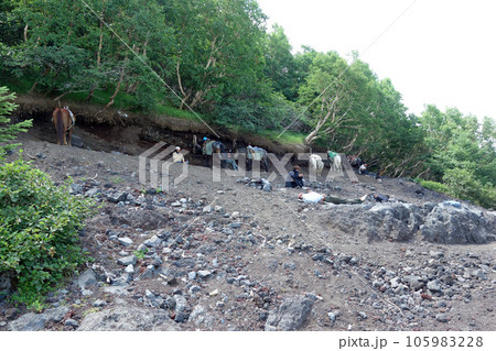 富士山下山道六合目（客待ちする馬） 105983228