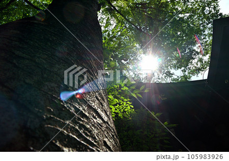 埼玉県行田市 病の封じの宮 行田八幡神社 埼玉県行田市 病の封じの宮 行田八幡神社 105983926