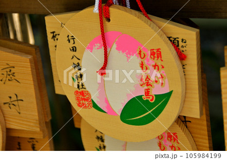 埼玉県行田市　病の封じの宮　行田八幡神社 105984199