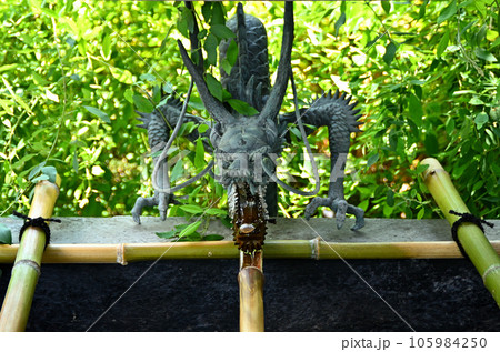 埼玉県行田市　病の封じの宮　行田八幡神社 105984250