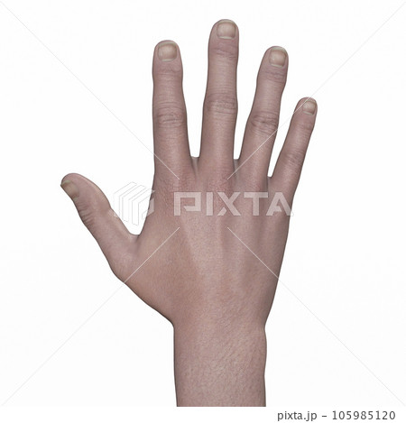 A human hand, 3D illustration 105985120