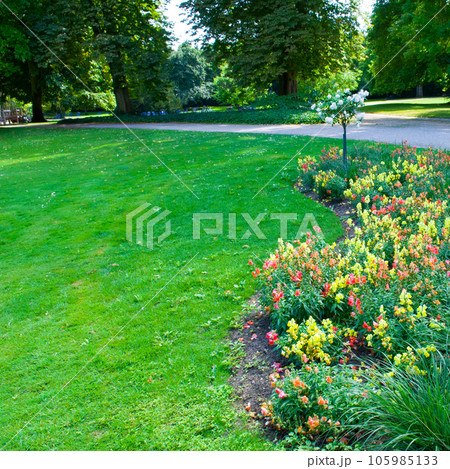 Beautiful garden with a flower garden and a lawn. Beautiful garden with a flower garden and a lawn. 105985133