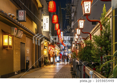 大阪 夜の法善寺横丁 石畳が続く雰囲気のある路地 大阪 夜の法善寺横丁 石畳が続く雰囲気のある路地 105985449