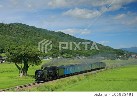 JR釜石線　SL銀河遠野ー綾織間の田園地帯を行く　C58239蒸気機関車青プレート 105985491