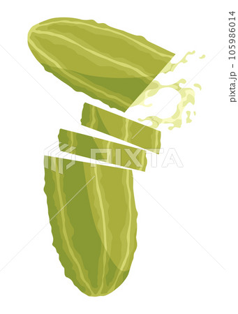 Homemade pickled cucumber. Clip-art of marinated food for packaging, label, menu, signboard or showcase. Fermented veggies, crunch gherkin with salt. Healthy vegetarian food 105986014