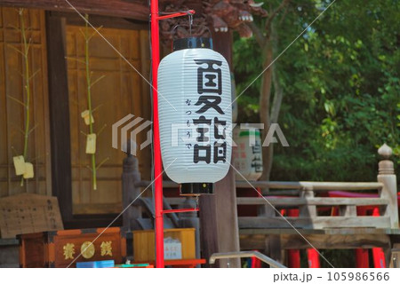 お稲荷さんも夏詣 お稲荷さんも夏詣 105986566