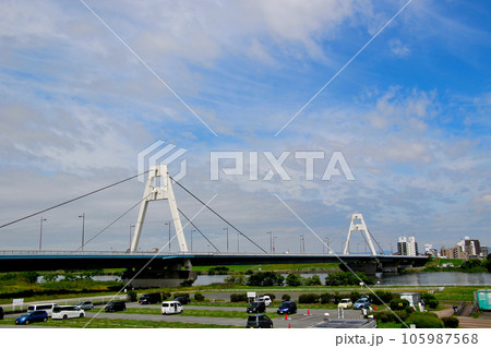 淀川河川公園太子橋地区から望む豊里大橋 105987568