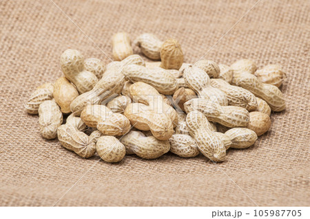 収穫された落花生　健康食品　ピーナッツ 105987705