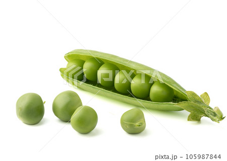Peas in a pea pod and on a white background. Peas in a pea pod and on a white background. 105987844