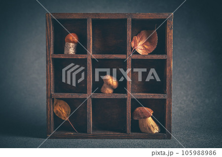 The concept of superfood. Composition with porcini mushrooms and boletus 105988986