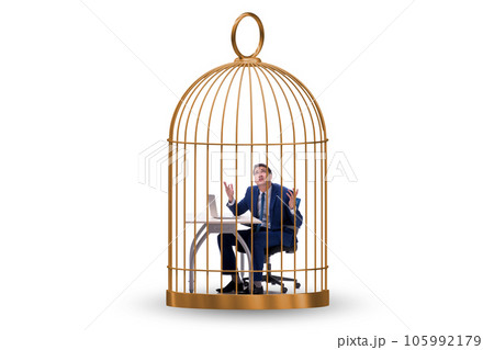 Businessman caught in the cage Businessman caught in the cage 105992179