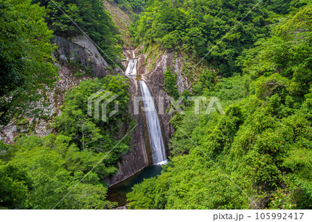 【布引の滝】　三重県・熊野市 105992417