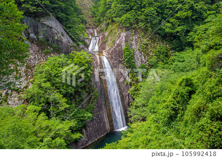 【布引の滝】　三重県・熊野市 105992418