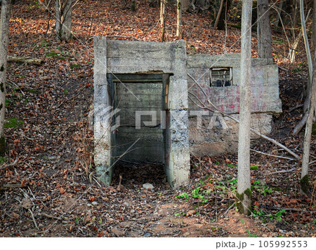 Open dark spooky entrance to the cold hidden catacomb in autumn forest with fallen brown leaves on the ground 105992553