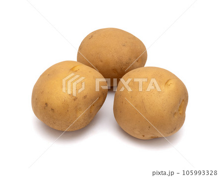 生のジャガイモ 105993328