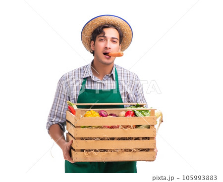 Young farmer with fresh produce isolated on white background Young farmer with fresh produce isolated on white background 105993883