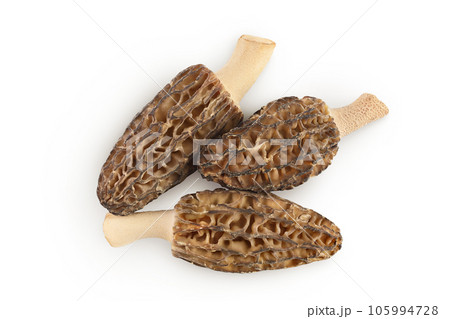 raw morel mushroom isolated on white background with full depth of field. Top view. Flat lay. raw morel mushroom isolated on white background with full depth of field. Top view. Flat lay. 105994728