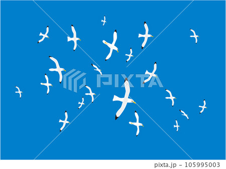 青空の中を気持ちよく群れで飛ぶカモメのイラストその2 105995003