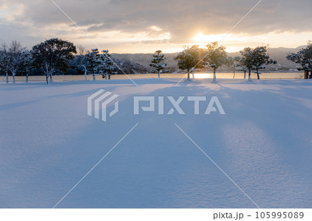 雪原に映る朝日 105995089