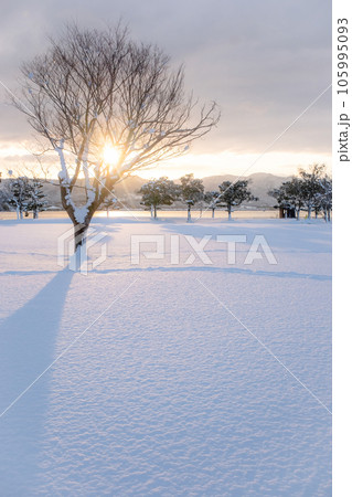 雪原に映る朝日 105995093