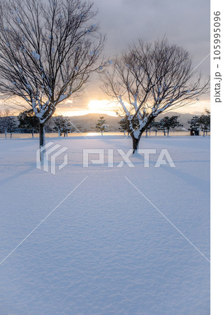 雪原に映る朝日 雪原に映る朝日 105995096