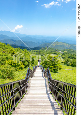 梅雨明けの霧降高原 105995462
