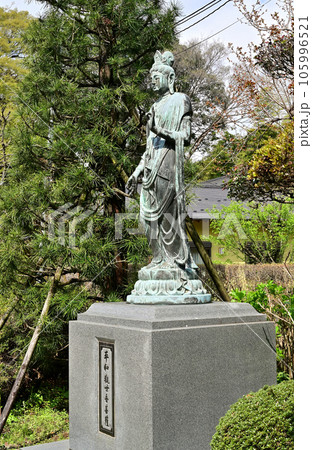 川口散歩：宝蔵寺　真言宗豊山派　川口市西新井宿 105996521