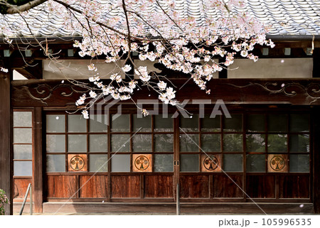 川口散歩：宝蔵寺　真言宗豊山派　川口市西新井宿 105996535