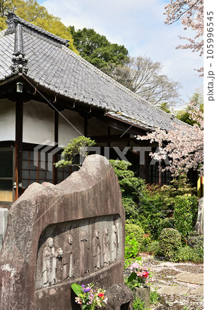 川口散歩：宝蔵寺　真言宗豊山派　川口市西新井宿 105996545