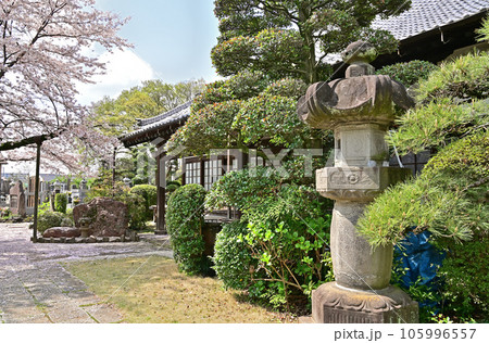 川口散歩:宝蔵寺 真言宗豊山派 川口市西新井宿 川口散歩:宝蔵寺 真言宗豊山派 川口市西新井宿 105996557
