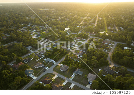Aerial view of suburban landscape with private homes between green palm trees in Florida quiet residential area 105997129