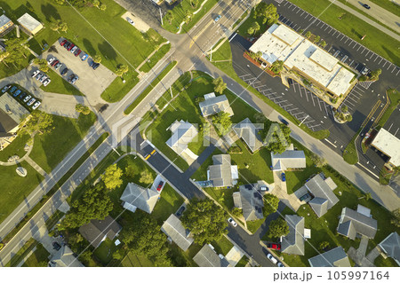 Aerial view of small town America suburban landscape with private homes between green palm trees in Florida quiet residential area 105997164