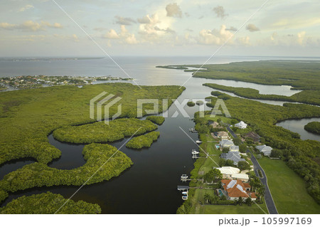 Aerial view of rural private houses in remote suburbs located near Florida wildlife wetlands with green vegetation on sea bay shore. Living close to nature concept 105997169