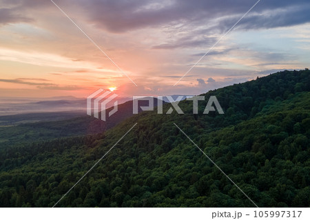 Aerial view of green pine forest with dark spruce trees covering mountain hills at sunset. Nothern woodland scenery from above 105997317