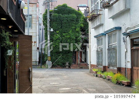 小樽　街の風景　蔦に覆われた石蔵の喫茶店 105997474