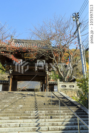 秋の竹原町並み保存地区 照蓮寺の山門 秋の竹原町並み保存地区 照蓮寺の山門 105997813