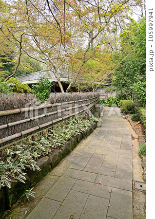 川口散歩:川口市立グリーンセンター 茶室 日本庭園 川口散歩:川口市立グリーンセンター 茶室 日本庭園 105997941