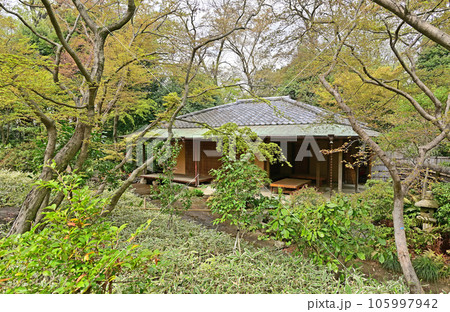 川口散歩：川口市立グリーンセンター　茶室　日本庭園 105997942