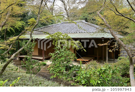 川口散歩:川口市立グリーンセンター 茶室 日本庭園 川口散歩:川口市立グリーンセンター 茶室 日本庭園 105997943
