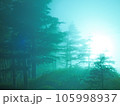 神秘的な霧の夜の森 105998937