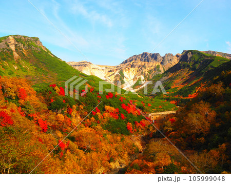 紅葉の山 紅葉の山 105999048