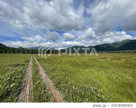 尾瀬歩道 105999069