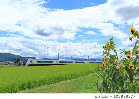大糸線　夏の特急あずさ 105999577