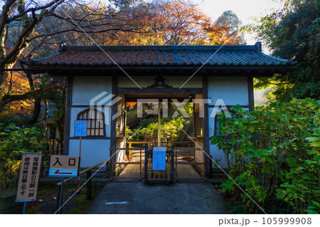 晩秋の古都鎌倉 紅葉の明月院 総門 晩秋の古都鎌倉 紅葉の明月院 総門 105999908