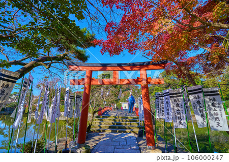 秋の神奈川県鎌倉市 鶴岡八幡宮の旗上弁財天社の境内側から入口の鳥居と赤い橋を見る 106000247