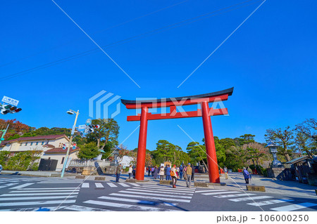 秋の神奈川県鎌倉市 鶴岡八幡宮の八幡宮前交差点付近から三の鳥居越しに境内を見る 106000250