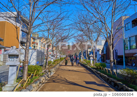秋の神奈川県鎌倉市 鶴岡八幡宮の段葛から社殿方面を見る 秋の神奈川県鎌倉市 鶴岡八幡宮の段葛から社殿方面を見る 106000304