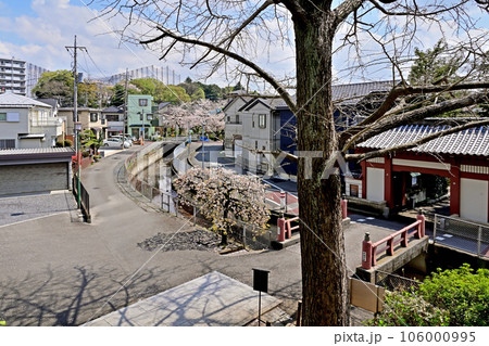 川口散歩:妙蔵寺 日蓮宗 仁王門 川口市安行領根岸 川口散歩:妙蔵寺 日蓮宗 仁王門 川口市安行領根岸 106000995