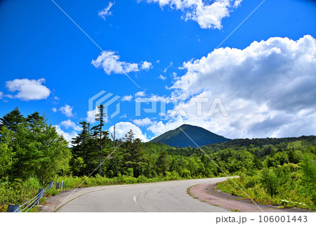 《岐阜県》高山市高根町　夏の青空と御嶽山継子岳 106001443