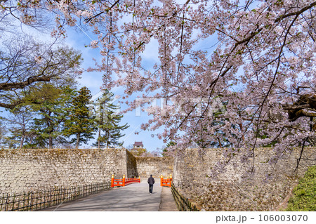 福島県会津若松市　天守閣を眺める桜咲く春の会津若松城のお堀と廊下橋 106003070